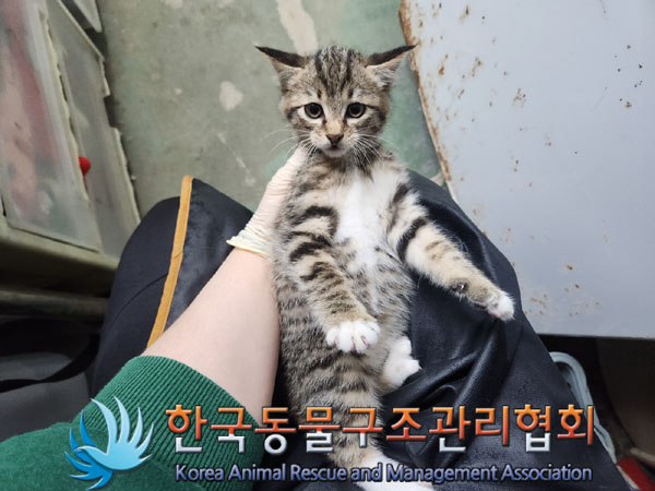 종료(자연사) 한국…